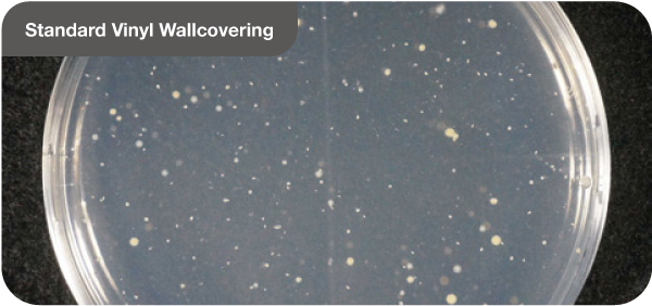 紹介画像1