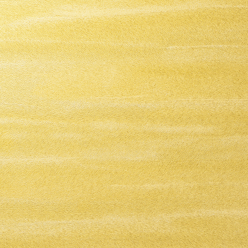 C25-2072