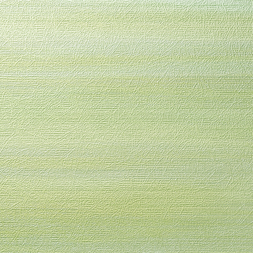 C25-2165
