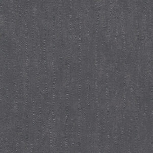 C25-2196